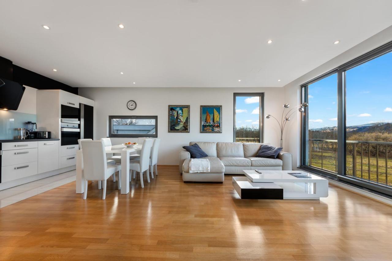 Apartment Contemporary With Rooftop Terrace In Maribor